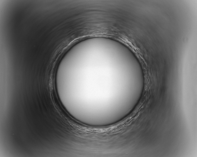 X0000088890002200706080816
