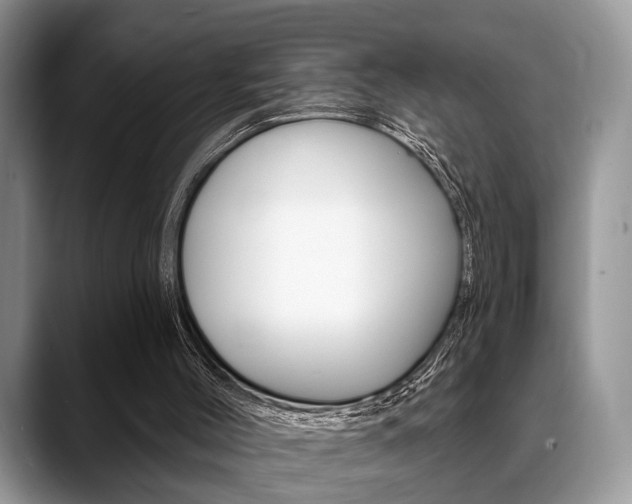 X0000088890004200706080816