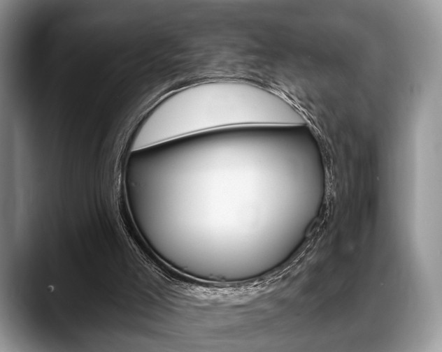 X0000088890005200706080816