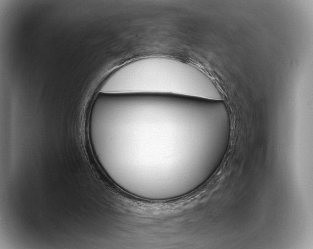 X0000088890006200706080816