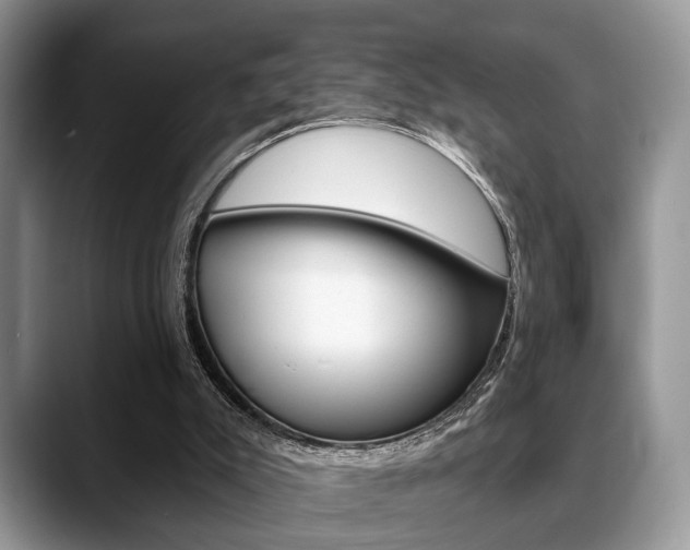 X0000088890007200706080816