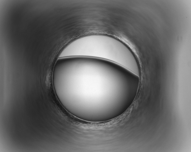 X0000088890009200706080816