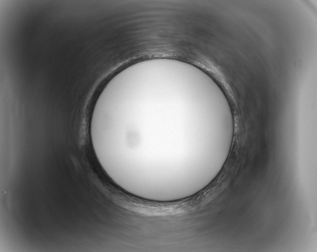 X0000088890012200706080816