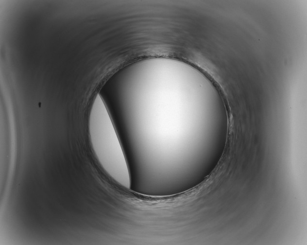 X0000088890013200706080816