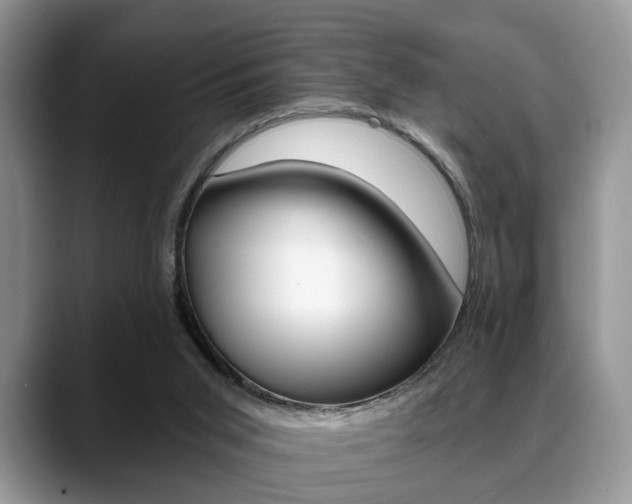 X0000088890015200706080816