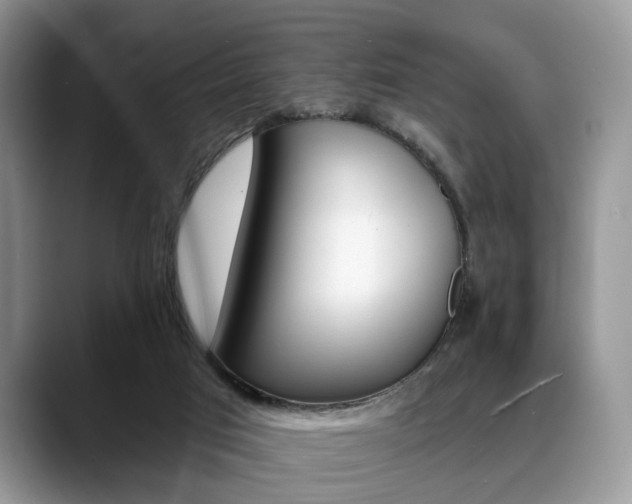 X0000088890017200706080815