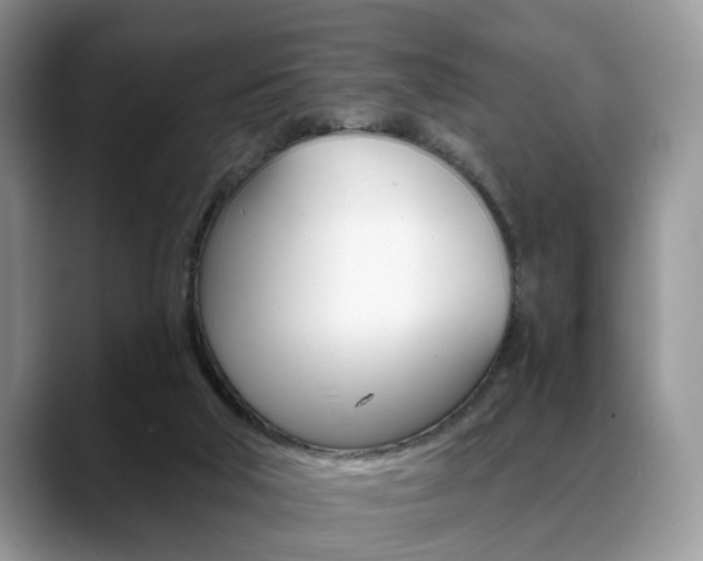 X0000088890018200706080815