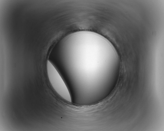 X0000088890019200706080815