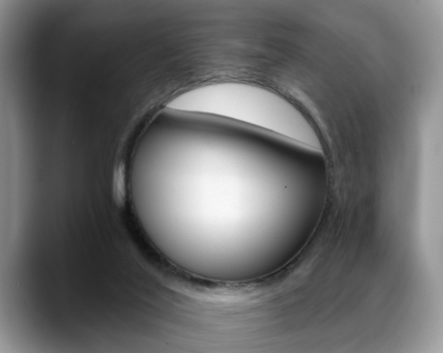 X0000088890020200706080815