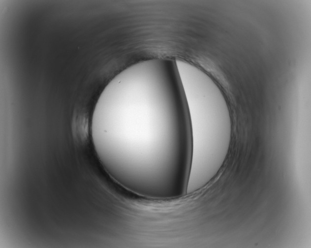 X0000088890021200706080815
