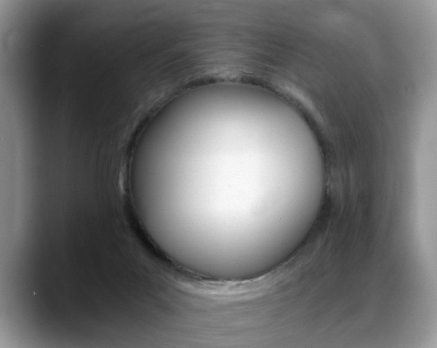 X0000088890023200706080815