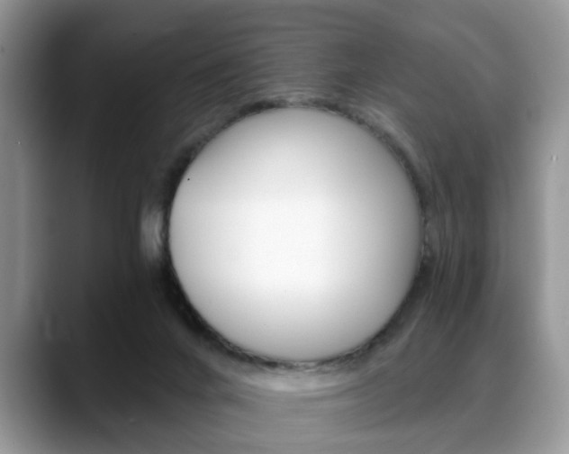 X0000088890024200706080815
