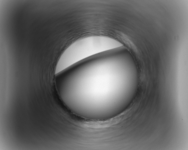 X0000088890025200706080815