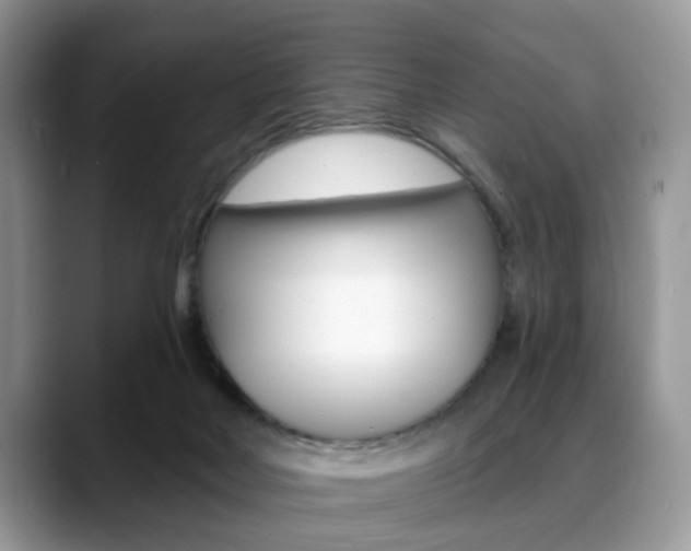 X0000088890026200706080815