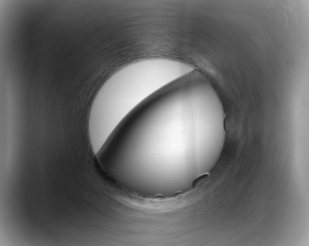X0000088890027200706080815
