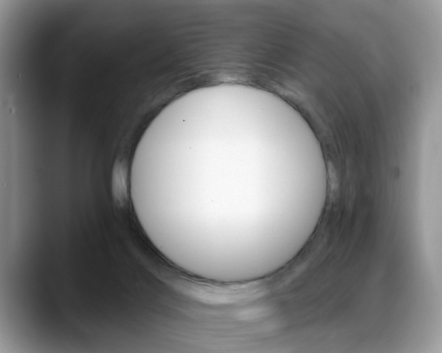X0000088890028200706080815