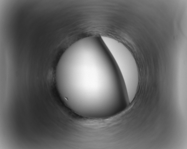 X0000088890029200706080815
