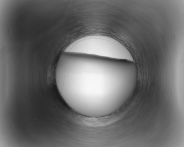 X0000088890030200706080815