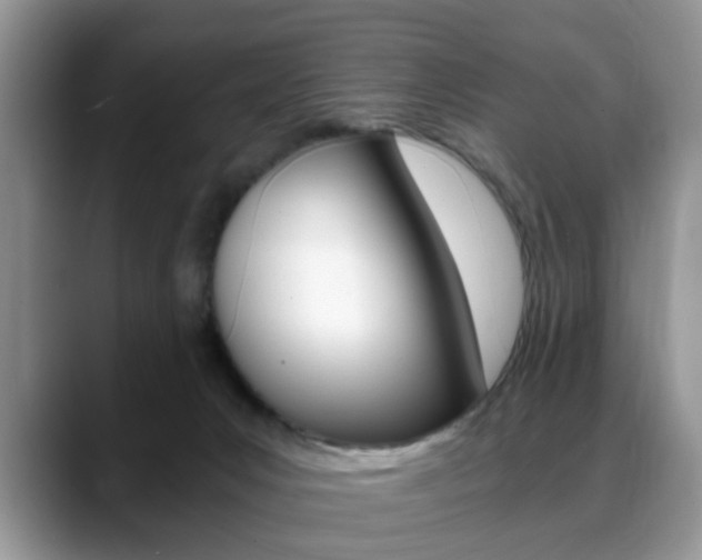 X0000088890031200706080815