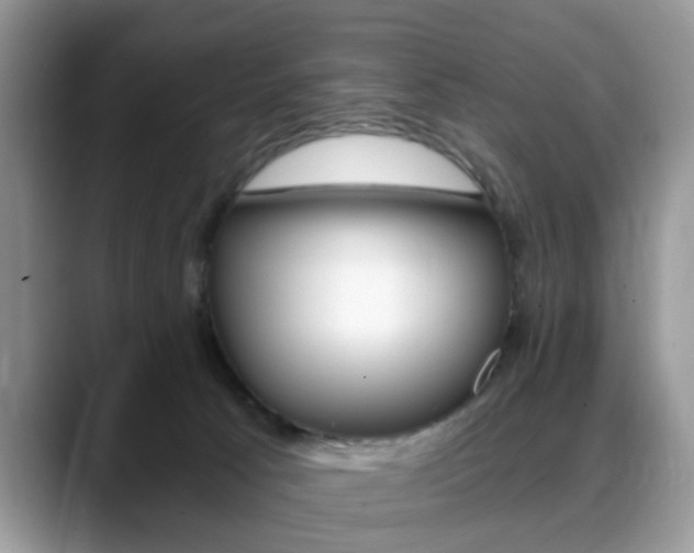 X0000088890033200706080815