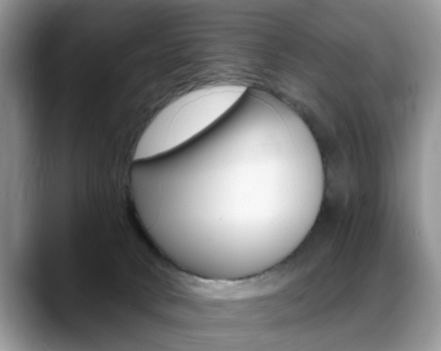 X0000088890034200706080815