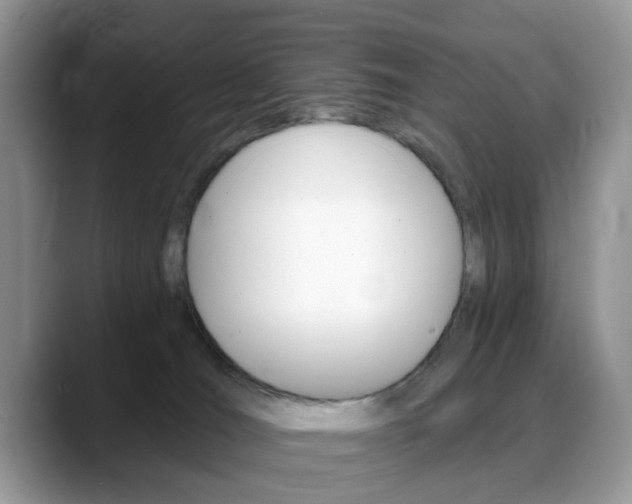 X0000088890036200706080815
