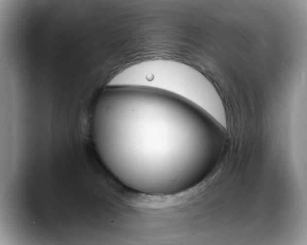 X0000088890037200706080815