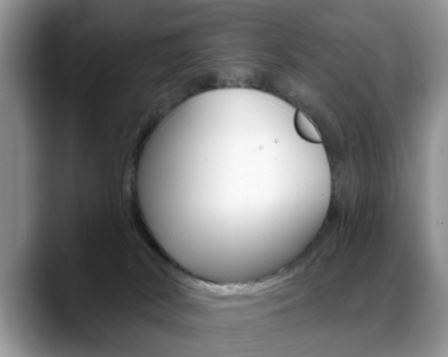 X0000088890038200706080815