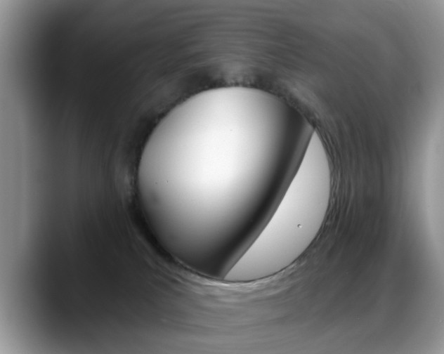 X0000088890039200706080815