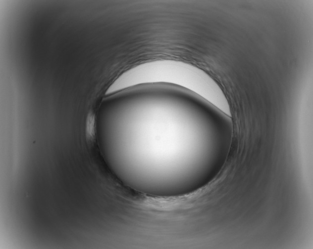 X0000088890041200706080815