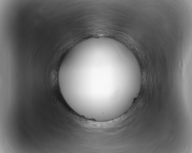 X0000088890043200706080815