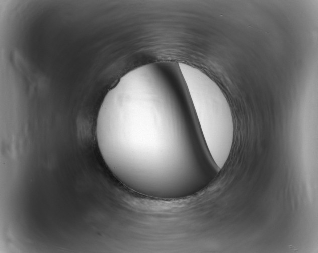 X0000088890044200706080815