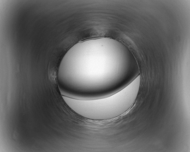 X0000088890045200706080815