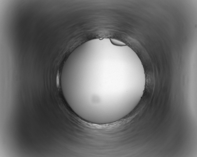X0000088890046200706080815