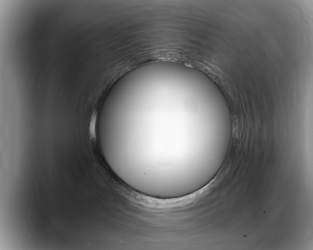 X0000088890047200706080815