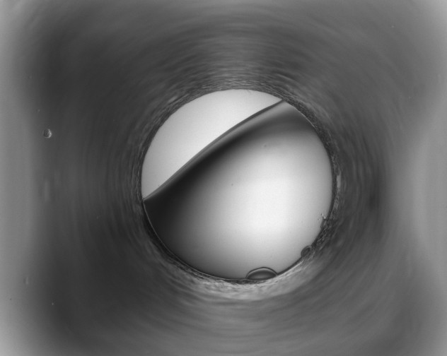 X0000088890048200706080815