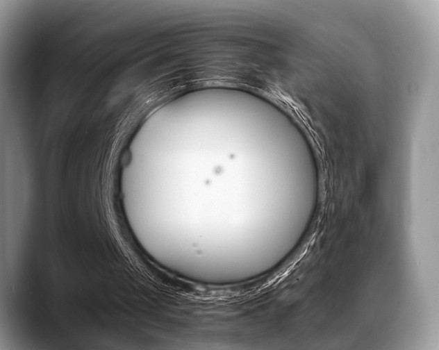 X0000088890049200706080814