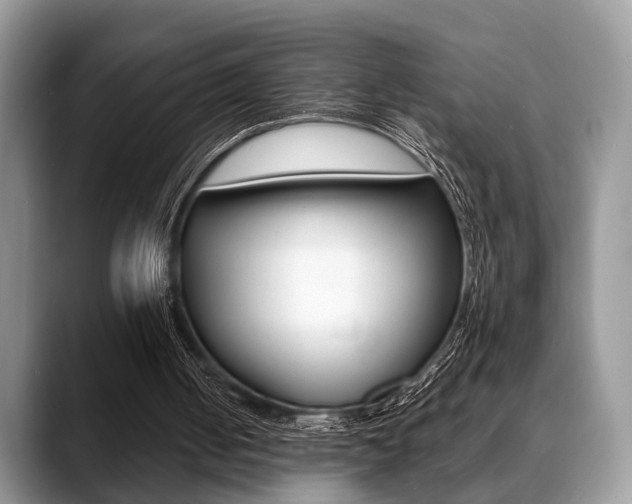 X0000088890050200706080814