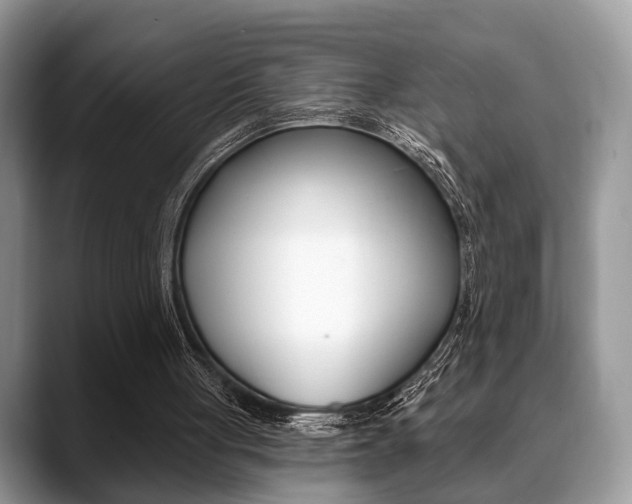 X0000088890051200706080814