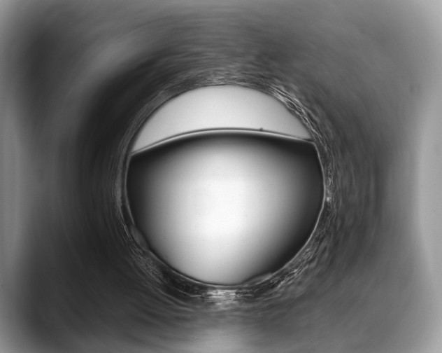 X0000088890052200706080814