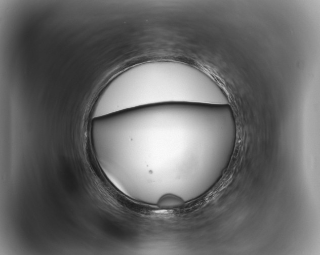 X0000088890053200706080814