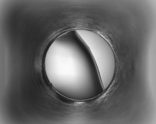 X0000088890055200706080815
