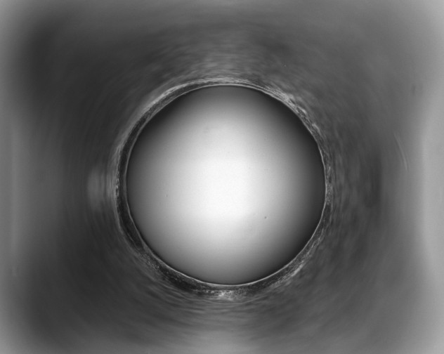 X0000088890056200706080815