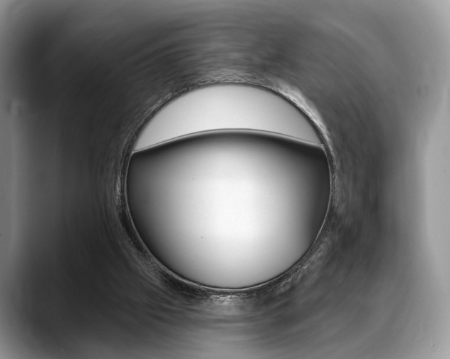 X0000088890057200706080815