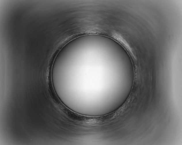 X0000088890058200706080815