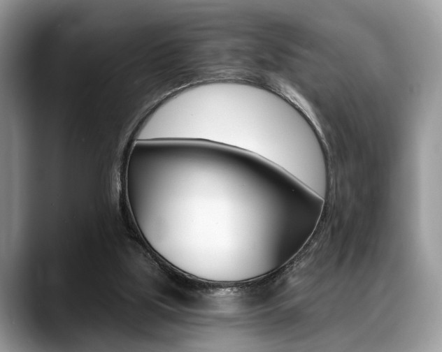 X0000088890059200706080815