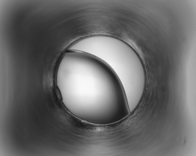 X0000088890060200706080815
