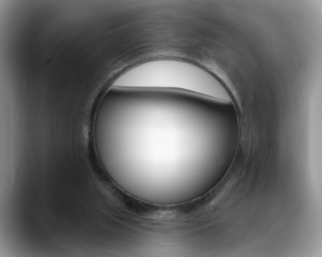 X0000088890063200706080815
