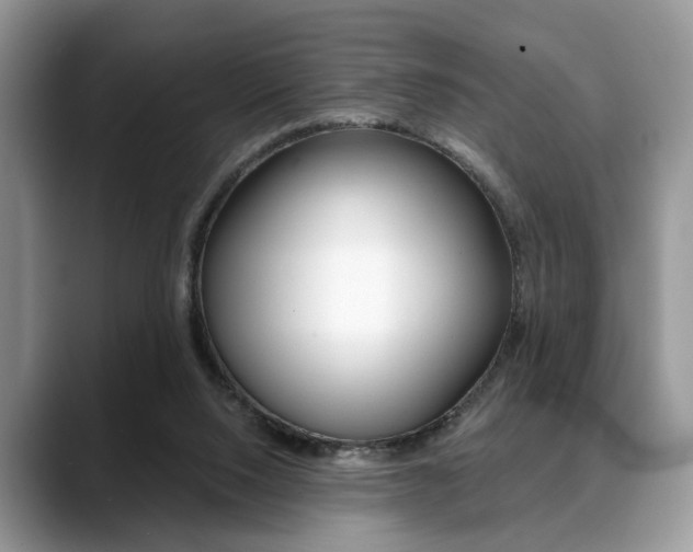 X0000088890064200706080815