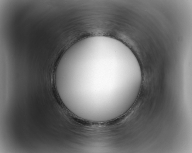 X0000088890065200706080815